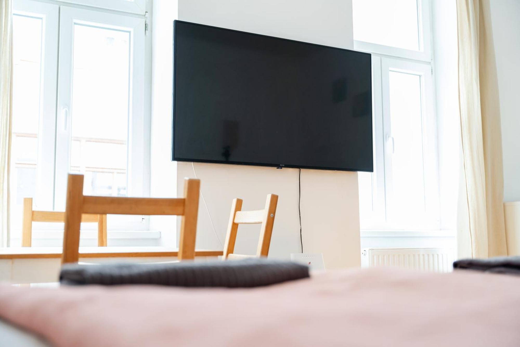 Living - Erlachgasse Apartment